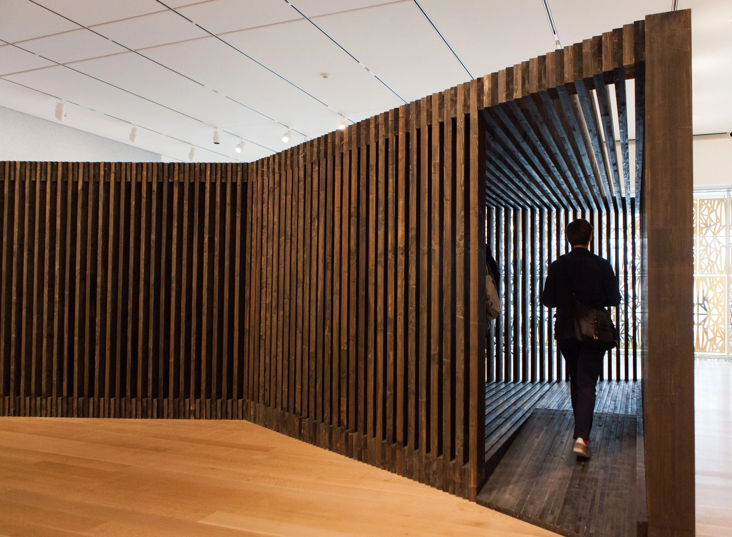 David Adjaye: Form, Heft, Material — Zoë Ryan